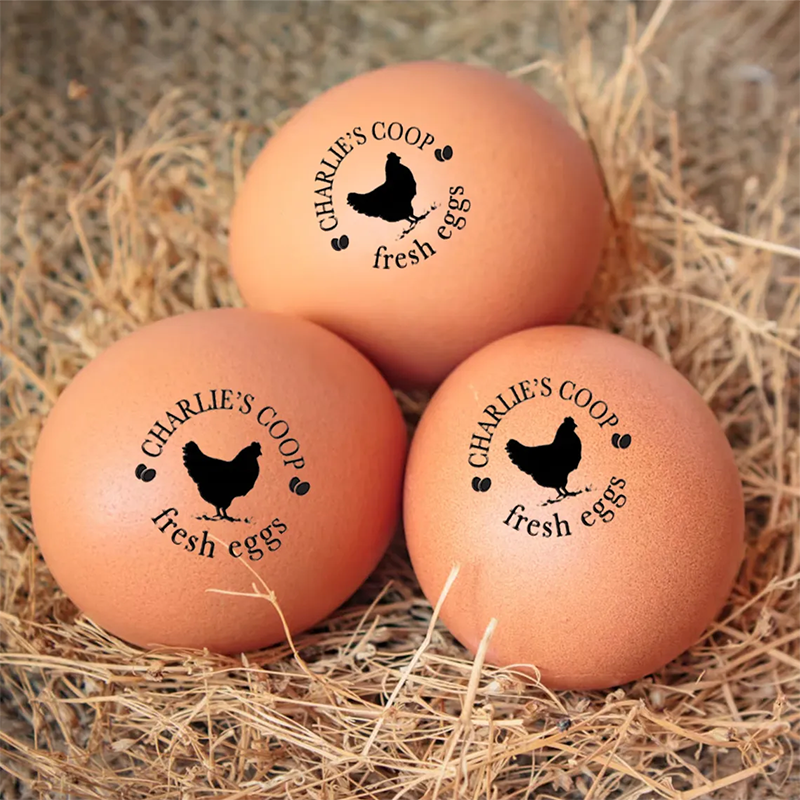 Personalized Egg Stamp Home Produce Stamp Farm Stamp Chicken Gifts Custom Egg Labels